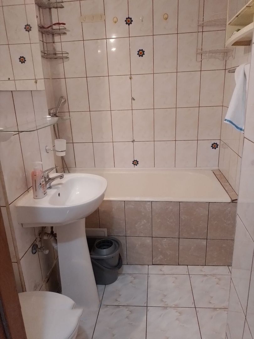 APARTAMENT KISELEF | PARCUL HERASTRAU - Poză 6