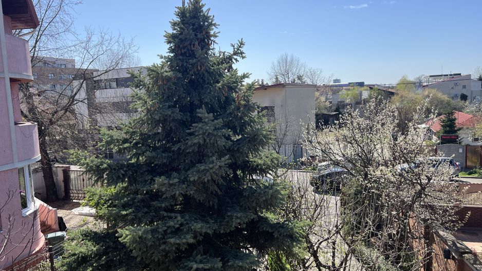 Vila superba Baneasa - Dobrogeanu Gherea - Poză 32