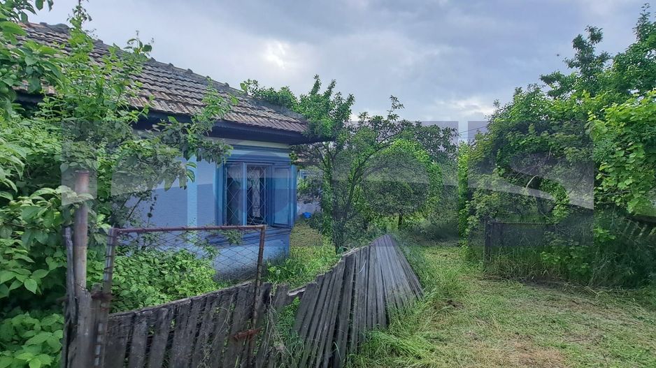 VANZARE CASA | TEREN 2500 MP | LIVADA SI VIE | SAT BREBINA – SCRIOASTEA - Poză 1