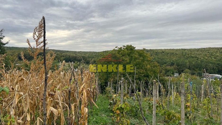 De vânzare casă bătrânească cu anexă in Oneaga - Poză 6