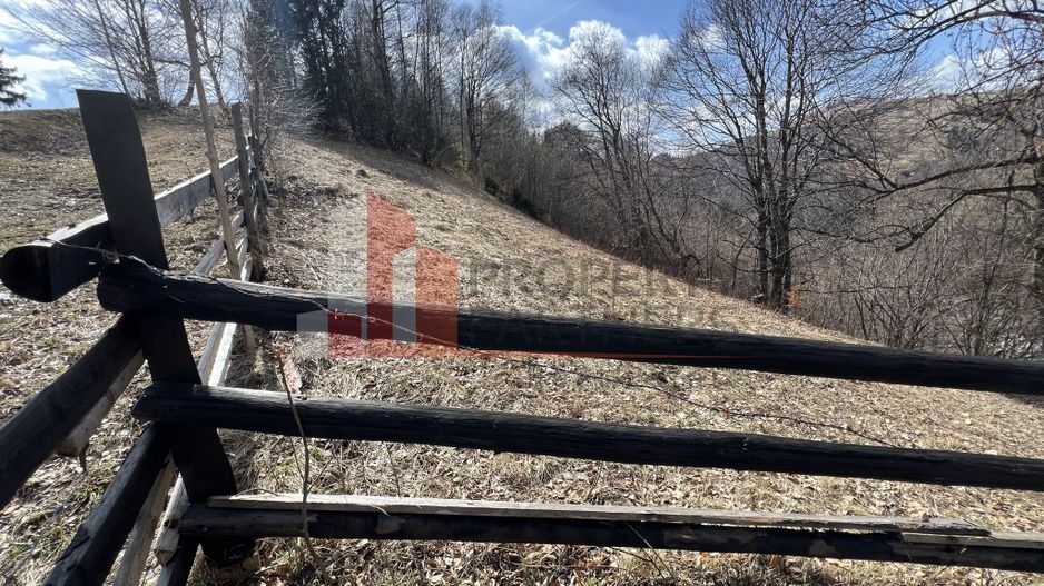 Teren Intravilan 9.194 mp, zona Bran - Simon - Poză 8