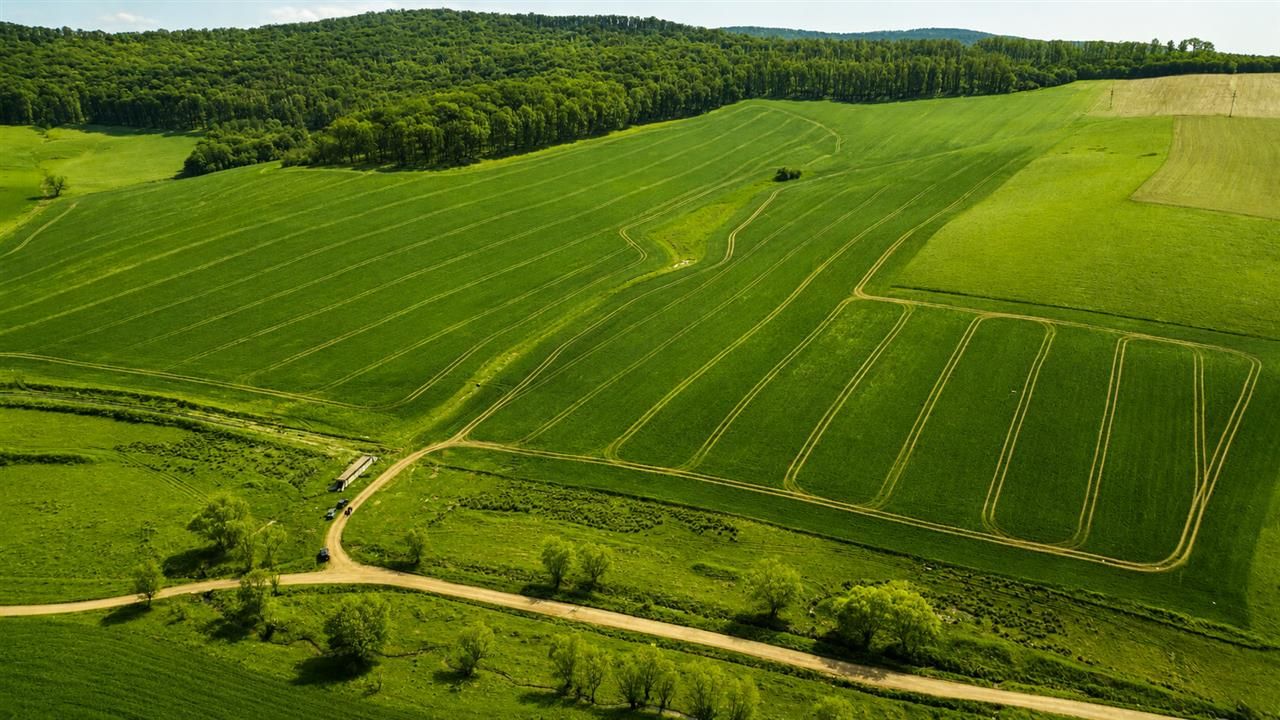 Portofoliu funciar de exceptie: 23.669 mp teren extravilan Sangiorgiu, Mures - Poză 1