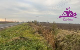 Teren pentru hale soseaua Nojorid Les - Poză 3