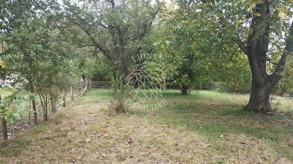 Teren intravilan 2500 mp-utilitati-ideal casa-Mijlocenii Bargaului - Poză 5