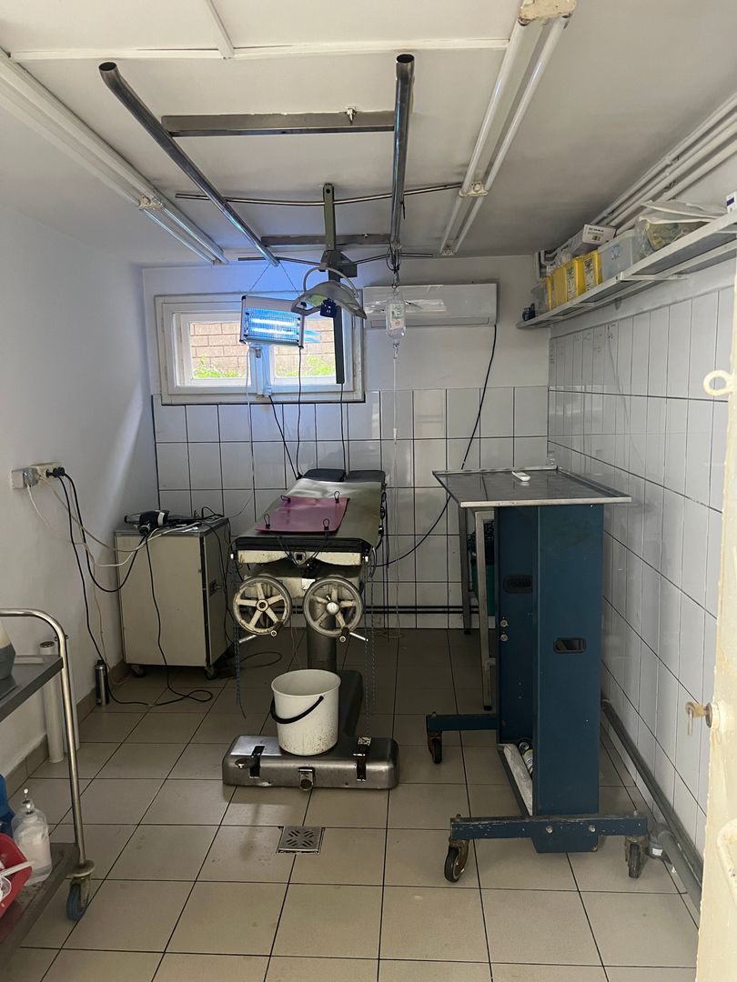 Imobil multifuncțional, 450 mp utili, teren 640 mp, Torontalului - Poză 5