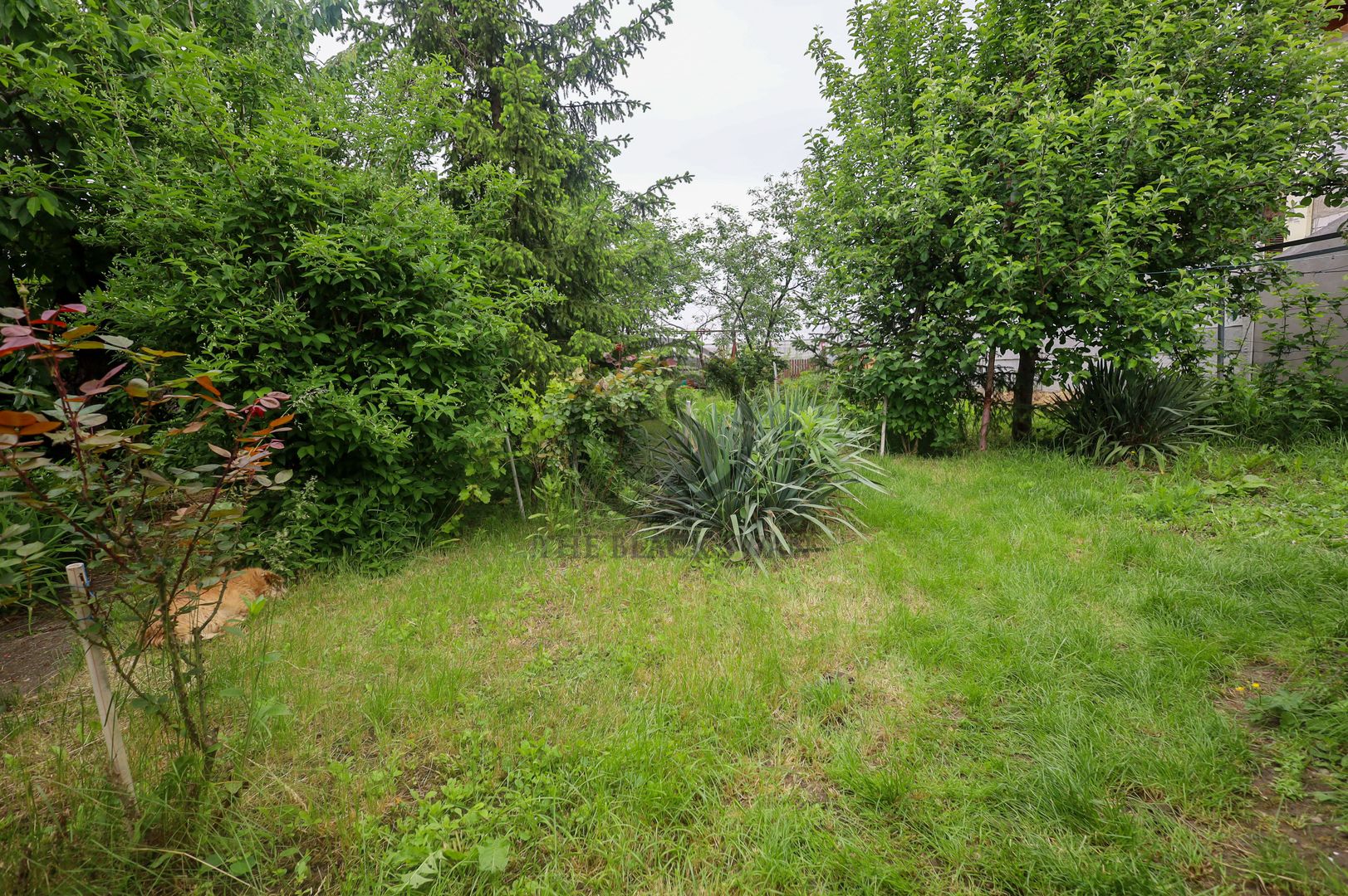 Casa cu 4 camere de vanzare | Gorgota, Prahova | Comision 0 % - Poză 16