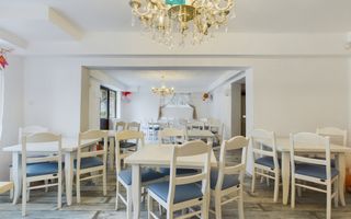 Spațiu comercial cu multiple destinații pe Martirilor - Poză 12