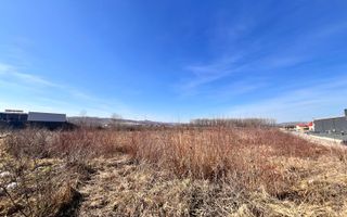 Vanzare I tTerenIntravilan I Suceava/Itcani I 18650 Mp I 89Euro/Mp - Poză 4