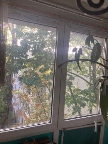 Apartament 2 camere Pajura | Poștă - Poză 2