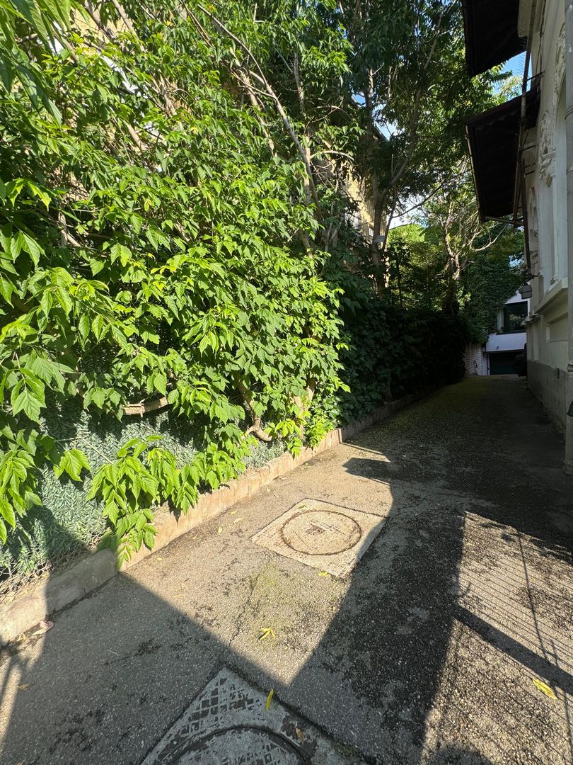 VILĂ CU POTENȚIAL MULTIPLU| CALEA DOROBANȚI - Poză 36