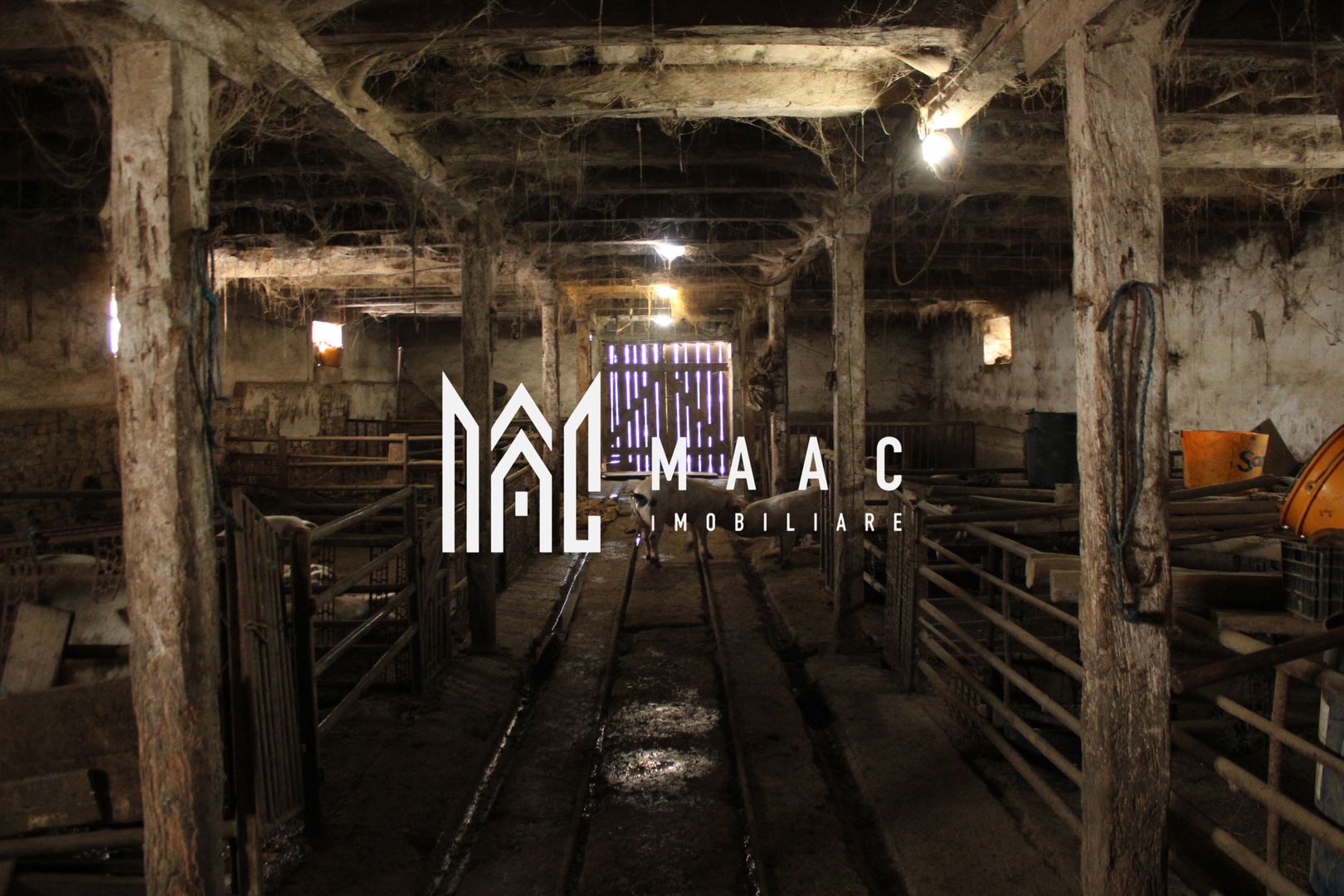 Ferma de Vânzare – Oportunitate Unică! - Poză 12