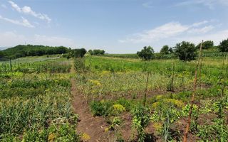 Teren De Vanzare, Zona Oarda de Sus, 2800MP - Poză 1