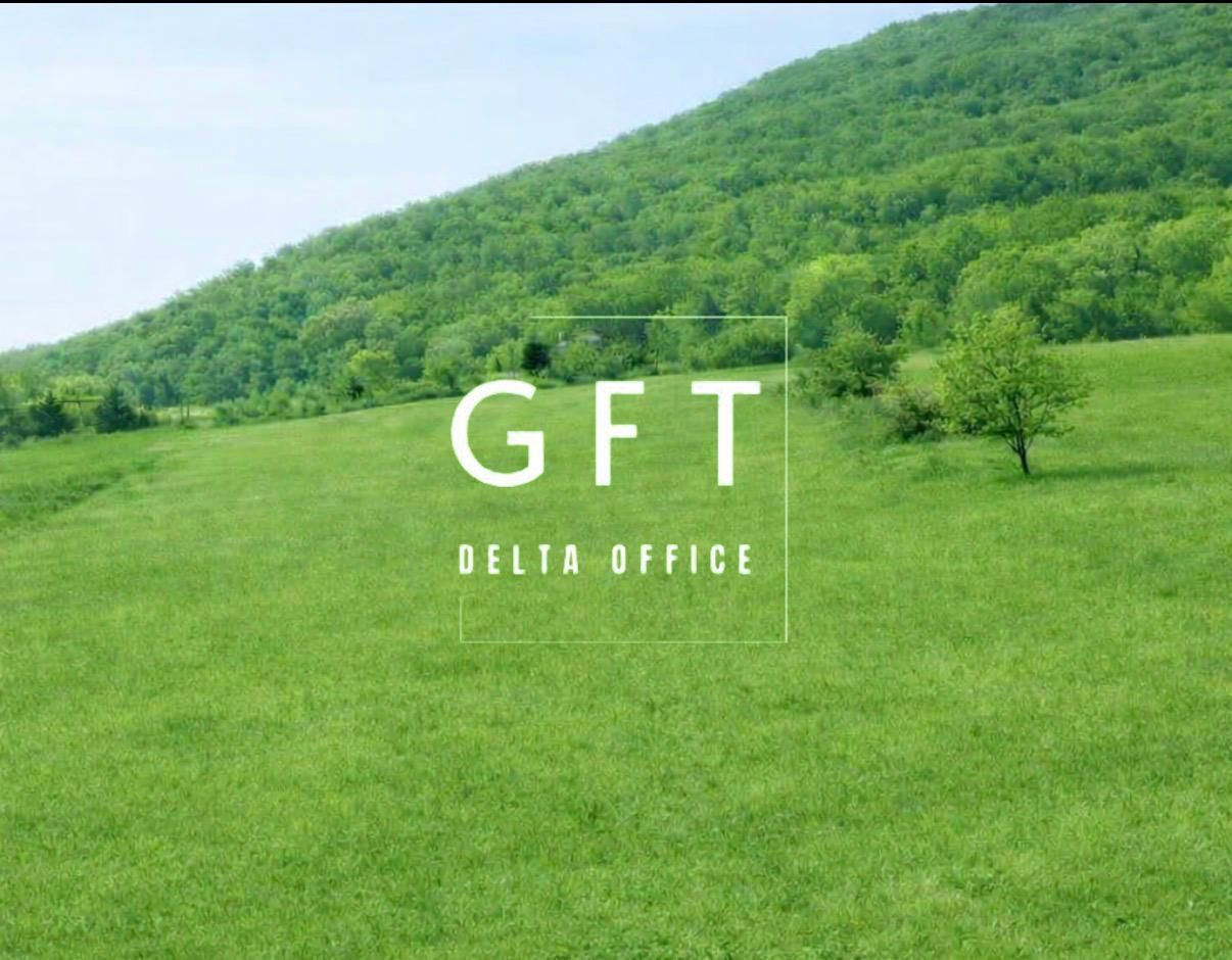 ​Oportunitate Investiție: Teren Intravilan 4.100 mp – Viișoara - Poză 1