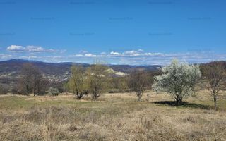 Ocazie ! OCNELE MARI - Sorat, 17,83 Ha. cu pozitie exceptionala - Poză 3