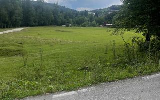 Teren pentru investiție turistică în Dâmbovicioara – Baranga | 4.500 mp | Front ~102 ml - Poză 4