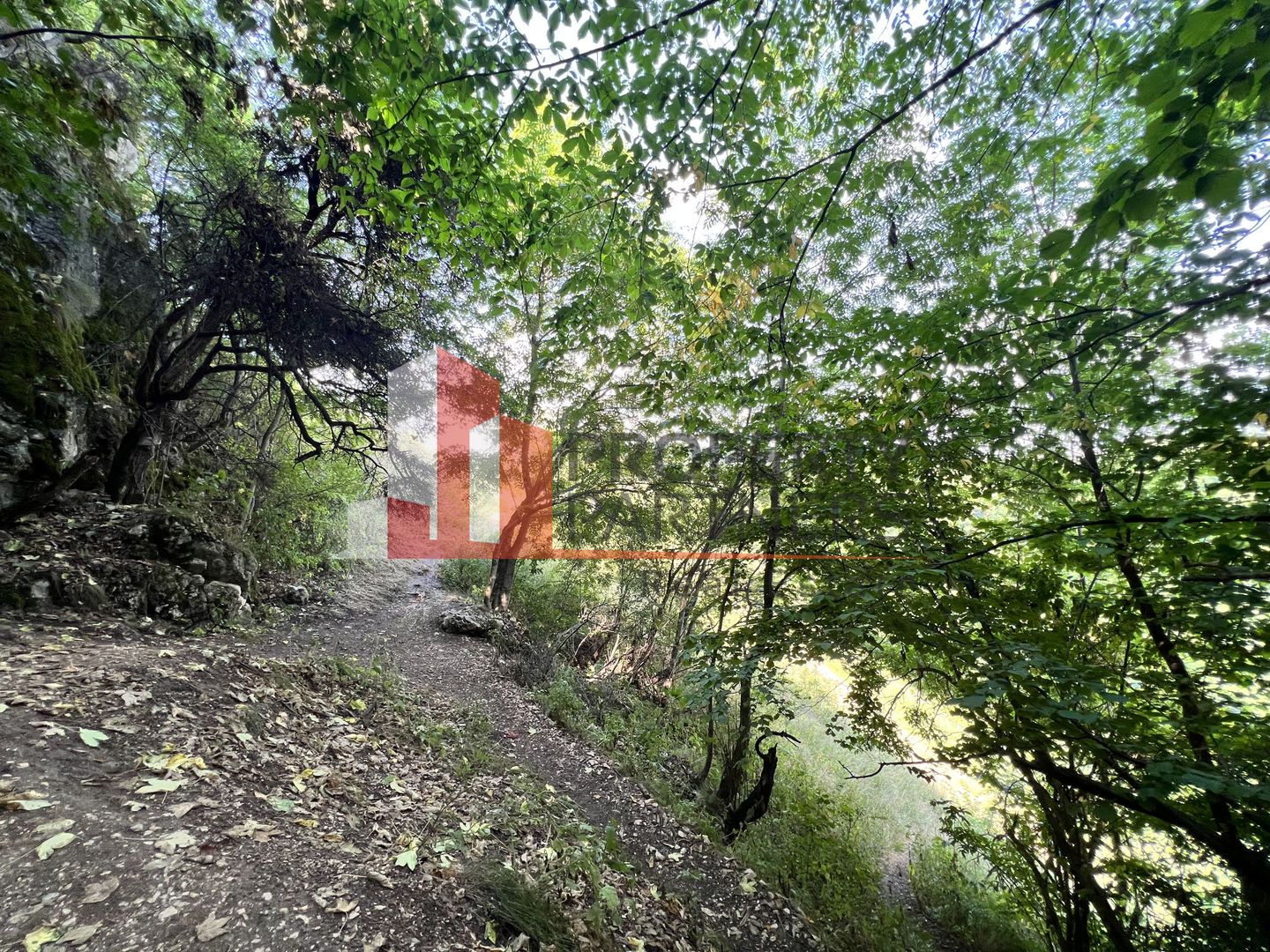 Teren de vânzare langa  Peștera Liliecilor  in Sat Pestera - Poză 7