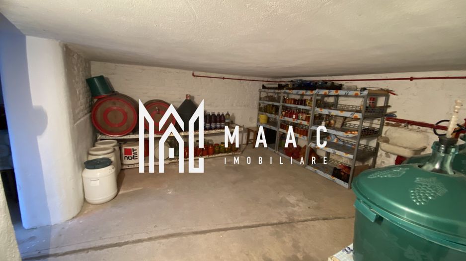 Casa individuala | Curte | Pivnita | 150 MPU | Turnisor - Poză 10