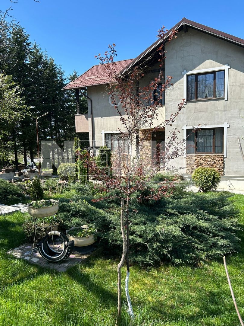 Casa tip Vila 330Mpu I 1000Mpt I Moara Nica/Suceava I 325.000Euro - Poză 30