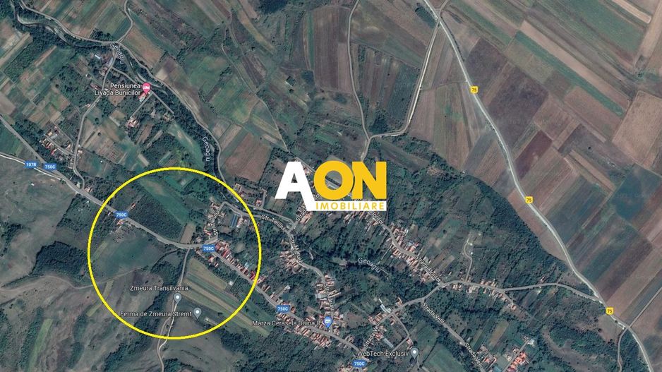 Teren intravilan de vanzare 3.000mp + 20.000mp extravilan - Poză 2