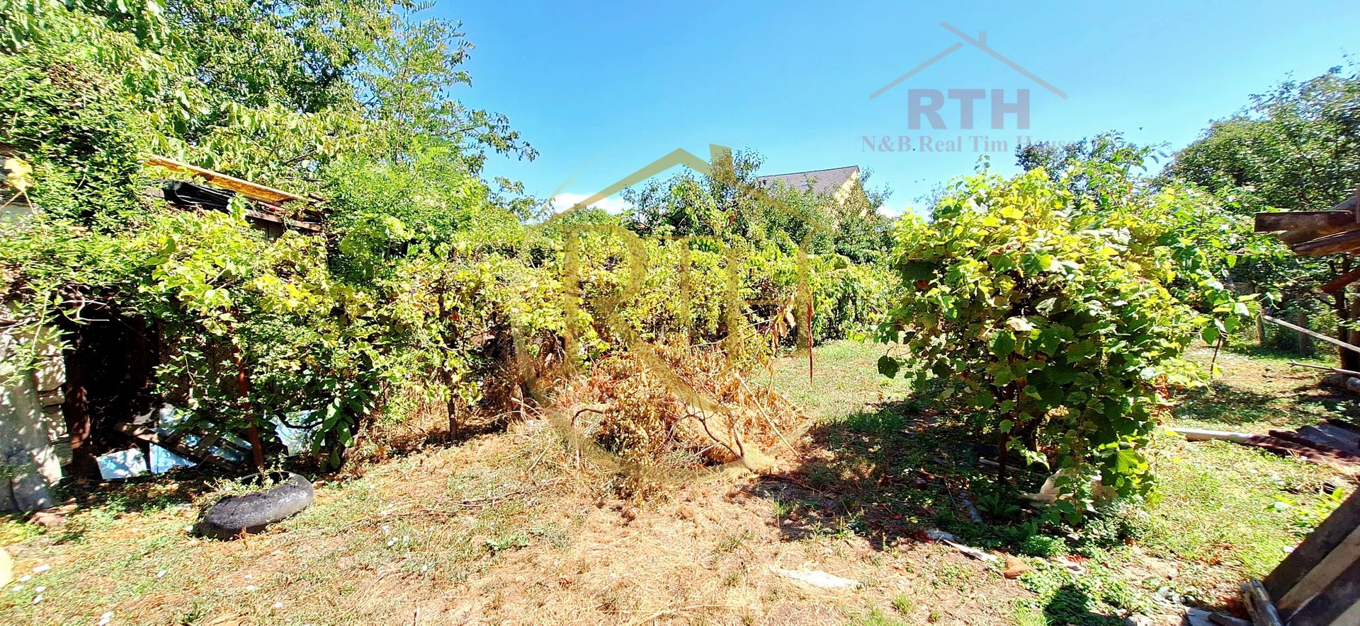 Oferim spre vanzare casa + teren, zona Sagului,  Necesita renovare - Poză 9