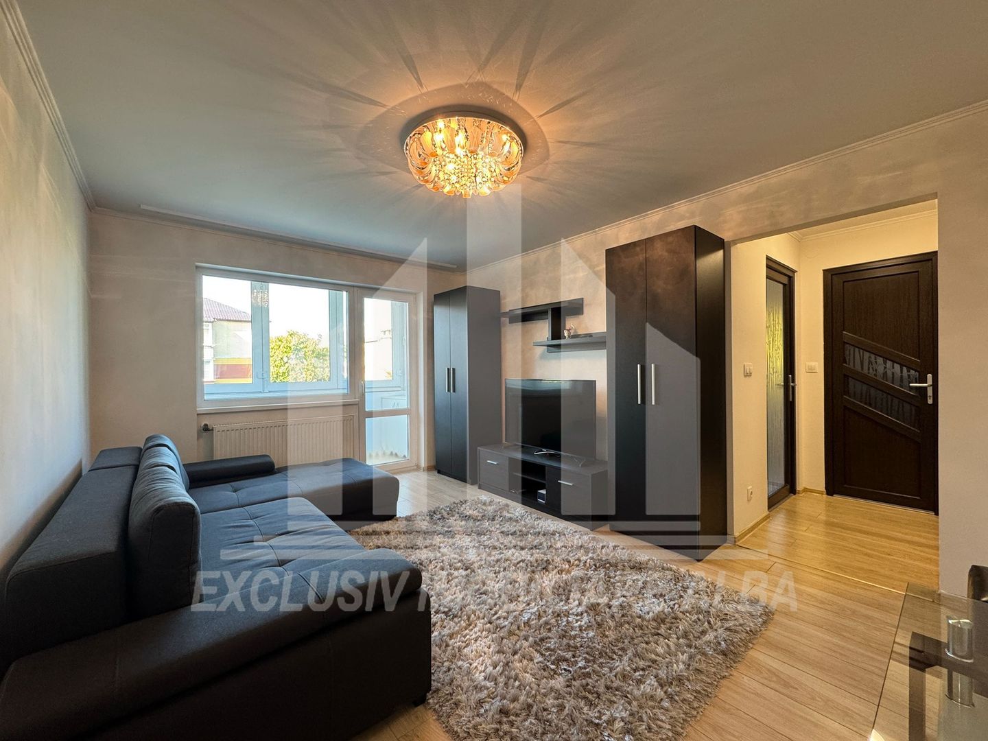 Apartament cu 2 camere complet renovat, etaj intermediar, Cetate - Poză 2