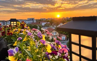 Calea Martirilor–ESO | 3 Camere | 2 Băi | Terasă | Parcare | Bloc 2018 - Poză 15