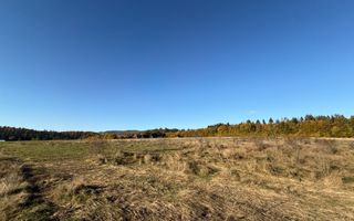 Teren intravilan | Horodnic de Sus – zona Tecioara | 2.900 mp - Poză 2