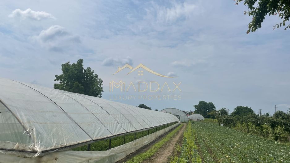 Teren intravilan***1439 mp***Cretesti-Vidra-Ilfov - Poză 5