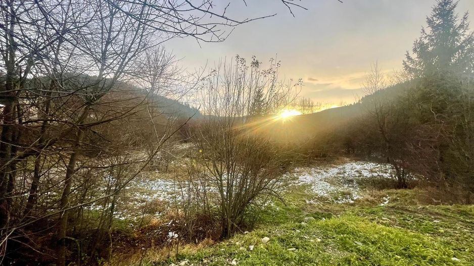 TEREN INTRAVILAN 2,26 HA | SUCEVITA | - Poză 10