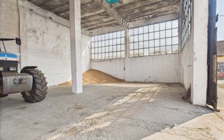 Complex industrial cu hale și teren  în Orțișoara - Poză 21