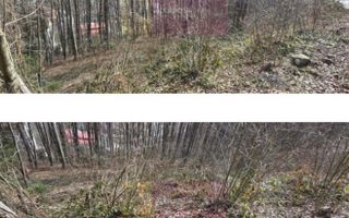 Teren 338mp, cu proiect bloc garsoniere D+P+E+M - Sinaia - Poză 2
