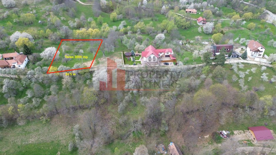 TEREN PREMIUM ÎN BRAN – SOHODOL | 3000 MP CU PANORAMĂ EXCEPȚIONALĂ - Poză 1