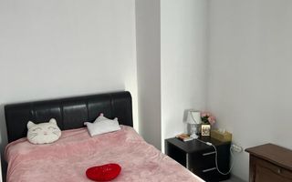 Apartament 2 Camere | Tineretului – Șincai - Poză 4