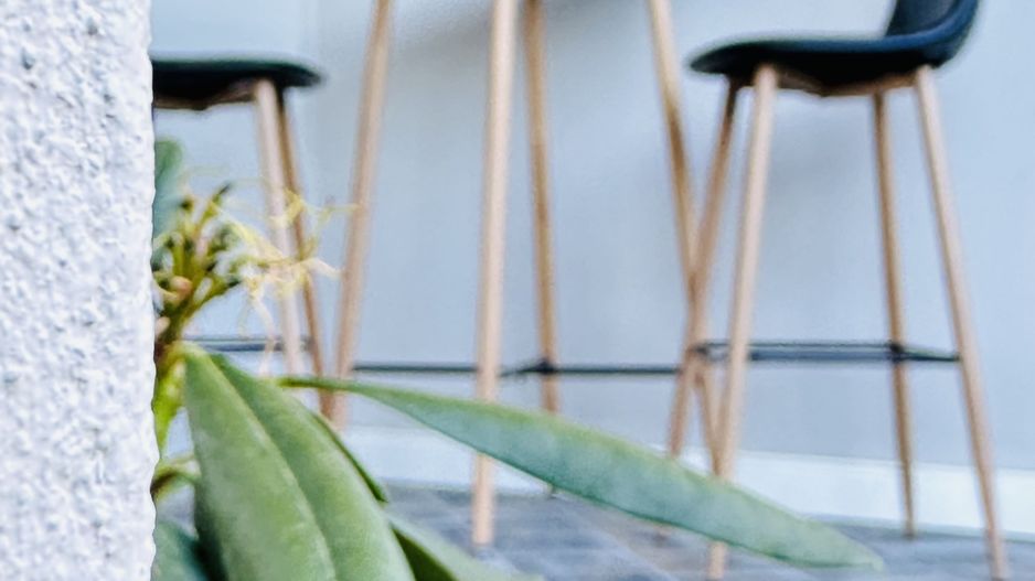 INCHIRIAT - Casa Sacalaz - Segmentul Premium | 2 dormitoare & 2 bai, 88 mp - Poză 32