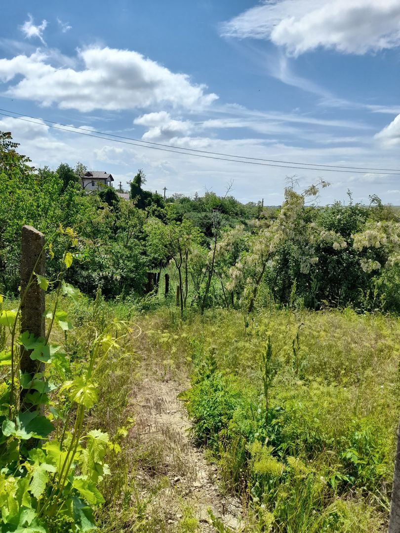 Casă cu teren de 1.470 mp de vânzare – Fântânele, Scânteiești - Poză 37