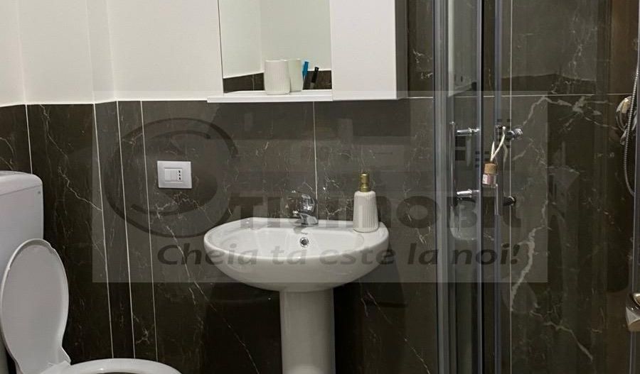 Inchiriere ap. 2 camere, open-space, Bucium-Visan, prima inchiriere - Poză 5