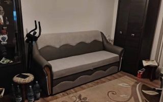 BRASADAS vinde casa individuala in zona Drexlmaier. - Poză 4