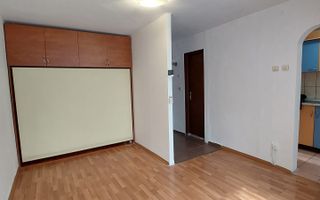 Vanzare garsoniera conf 2, Teiul Doamnei, Lacul Tei - Poză 1