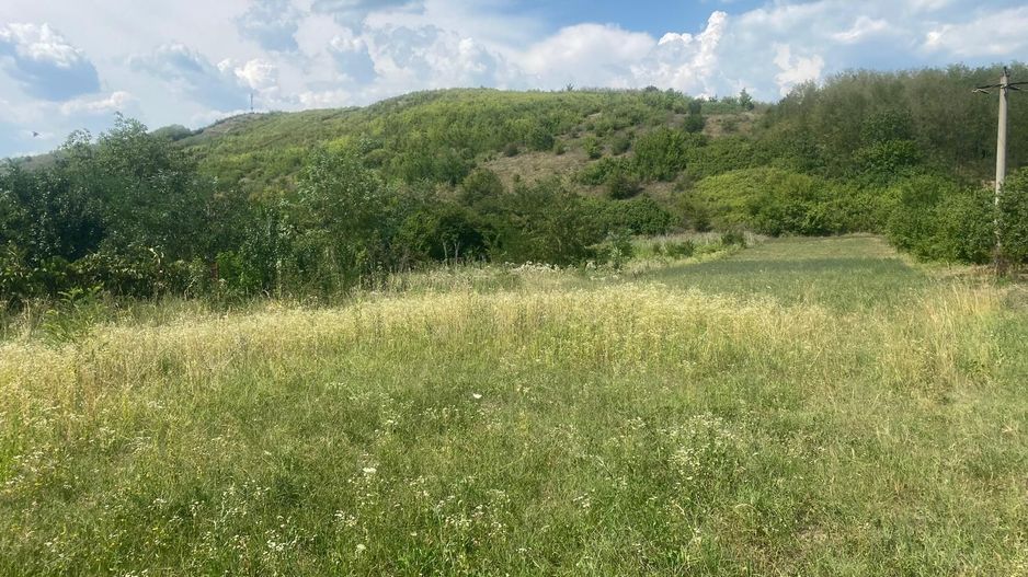 La cateva minute de oras! Vanzare teren intravilan in Viforata - Poză 3