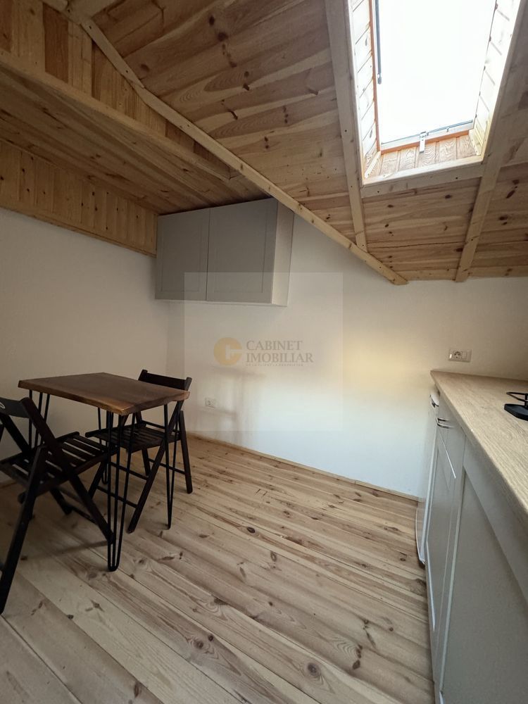 R1  | Studio  | Parcul Cismigiu - Poză 2