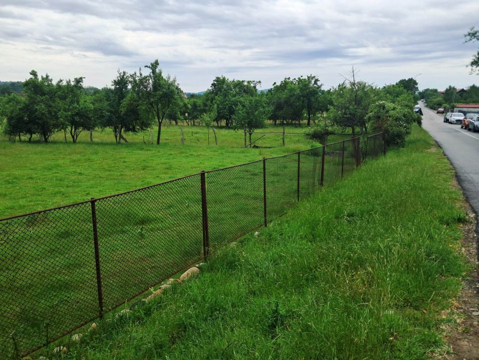 TEREN INTRAVILAN NOVACI - Poză 2