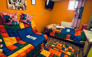 Casa la 20 de Km de Oradea - Poză 3