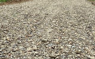 Teren | strada MITOCELULUI | 34,5 ARI | 110.000 EUR - Poză 3