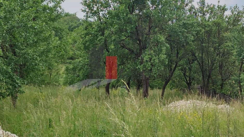Teren intravilan Boteni Arges - Poză 10