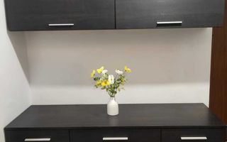 De inchiriat Apartament 2 camere Tineretului sec.3 - Poză 5