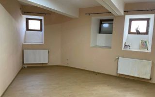 Spatiu comercial-70 mp | Zona Medicina | Parcul Regina Maria | ISHO - Poză 3