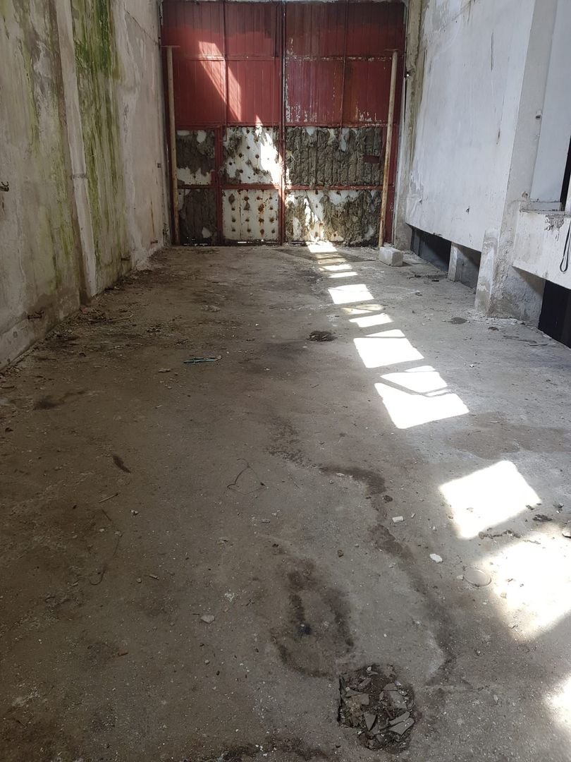 Teren - hala de vanzare | Damaroaia | Bucurestii Noi | Pajura - Poză 6