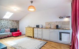 Vanzare Duplex, 214 mp, teren 300 mp, Europa - Poză 21