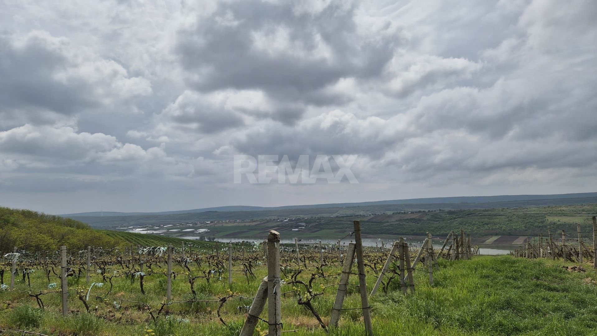 Vie Moldova - Poză 2