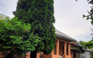 Casa de vanzare/Balcesti/Valcea/Str Pietii - Poză 13